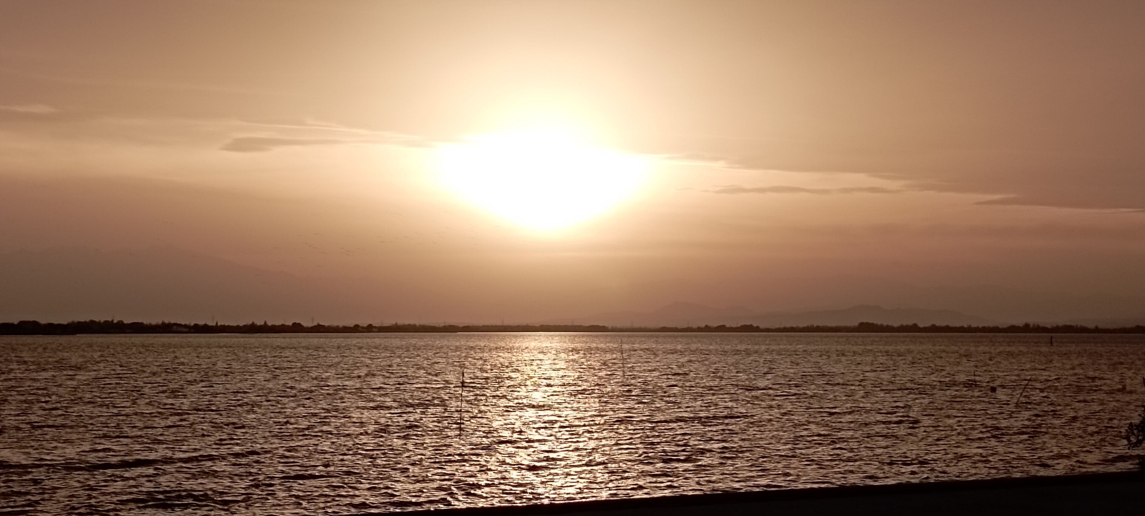 منوع