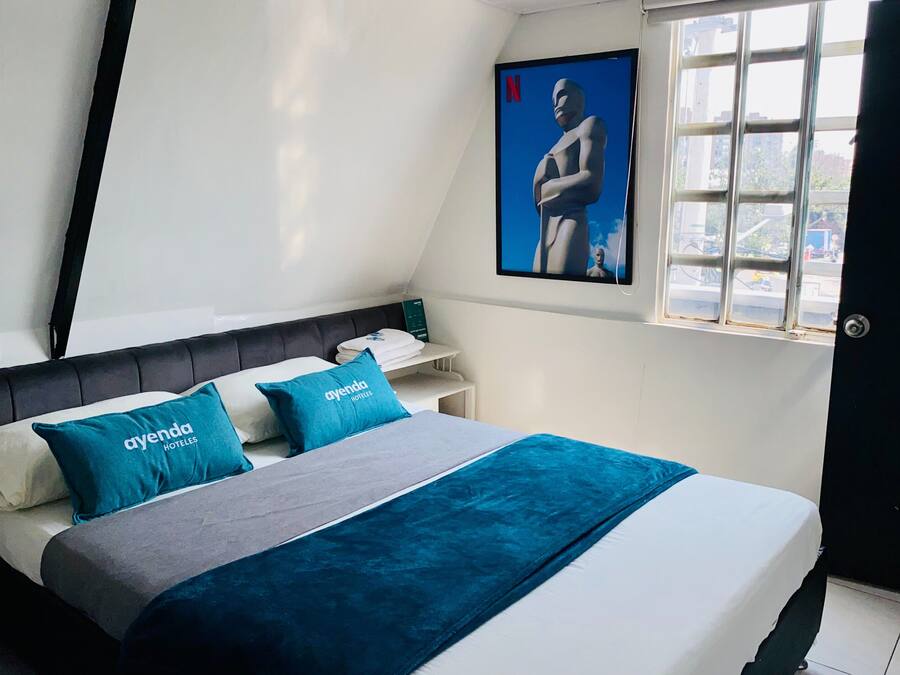 Ropa de cama hipoalergénica, cubrecamas y cortinas blackout