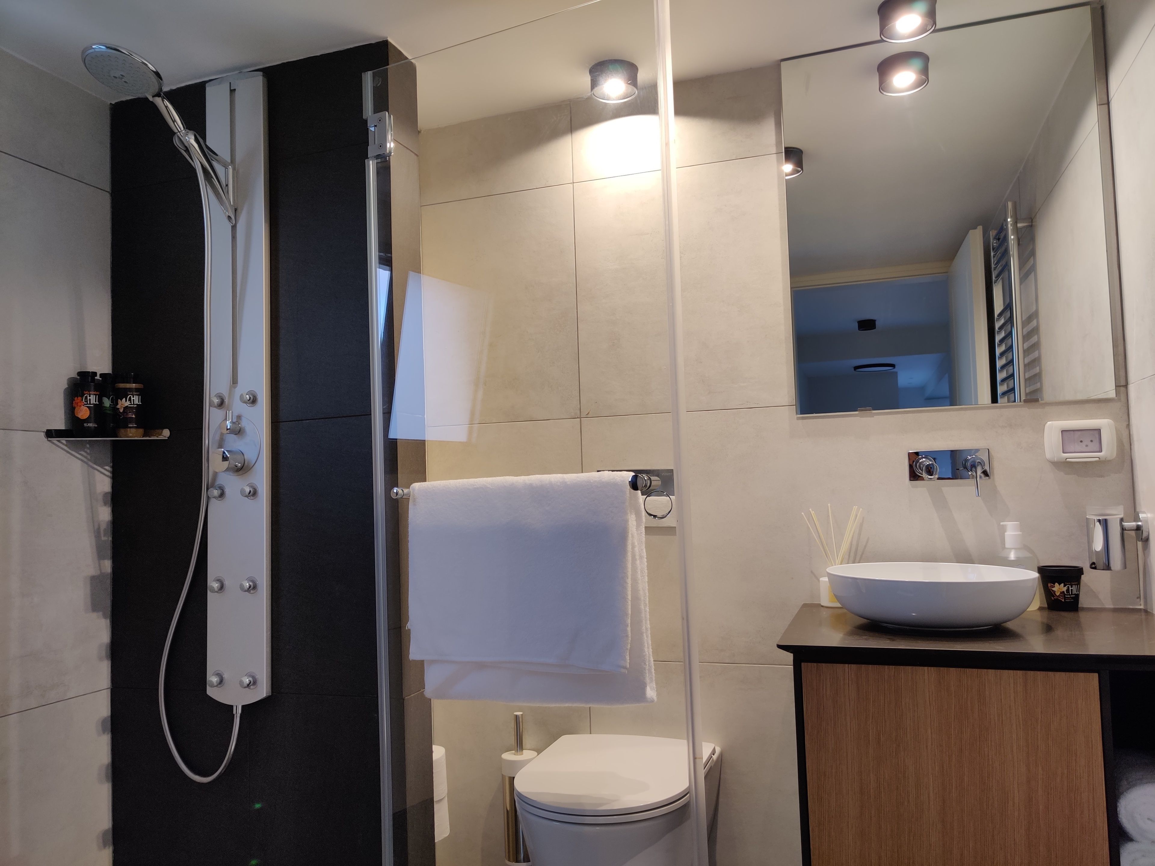 A modern bathroom with a glass-enclosed shower, a white toilet, a sink with a bowl, and a mirror above the sink.