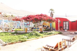 Un patio con un muro cubierto de grafitis, un edificio rojo y un árbol con flores rosadas.