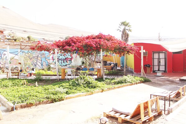 Garden - Hostel La Posada De Gallo (Arica)