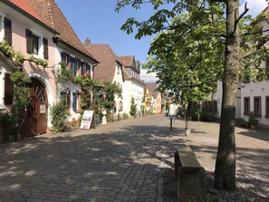 Property grounds - Modern apartment in a renovated 18th century historic landmark (Rhodt unter Rietburg)