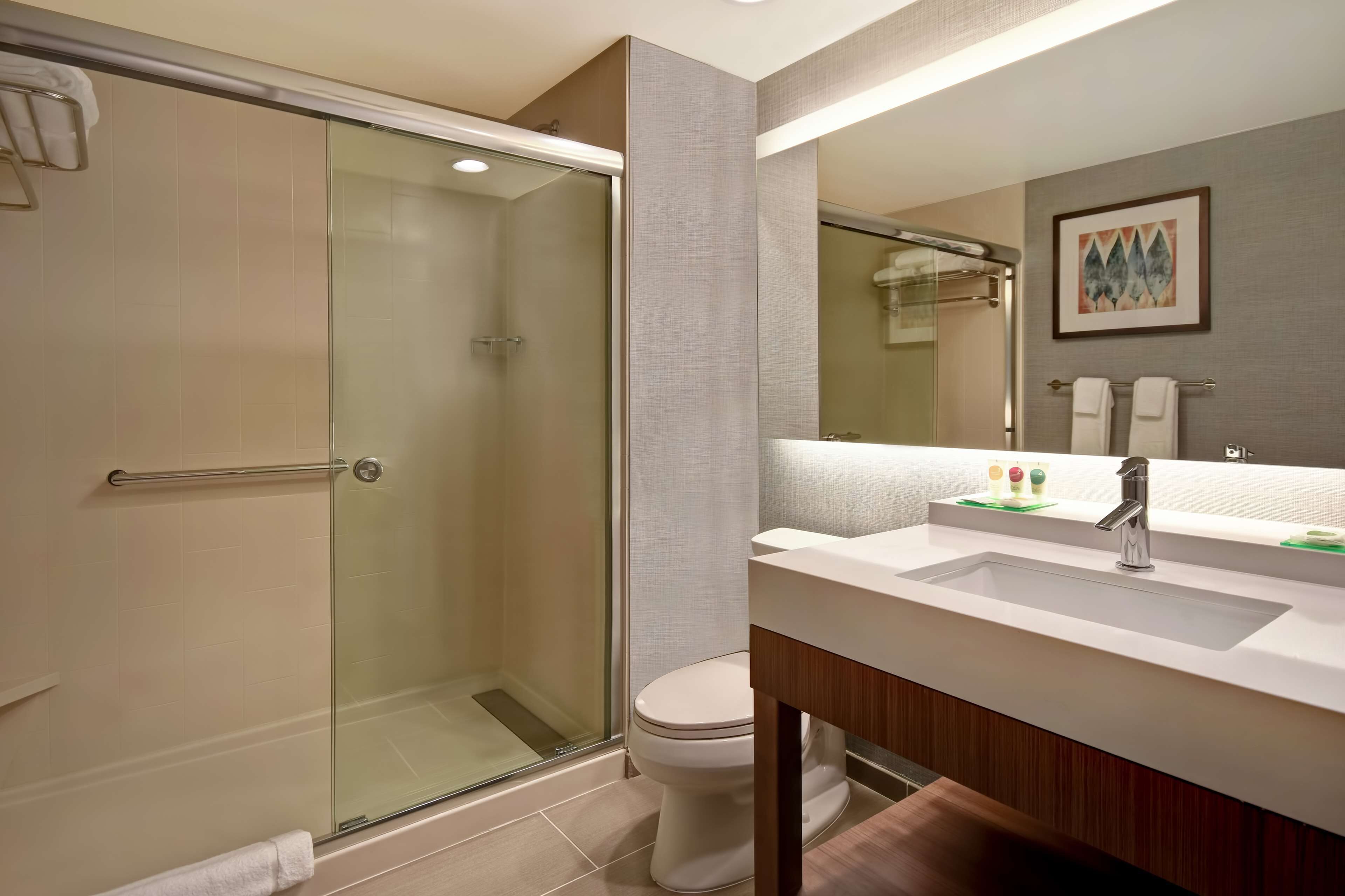 combined shower/bathtub, hair dryer, towels