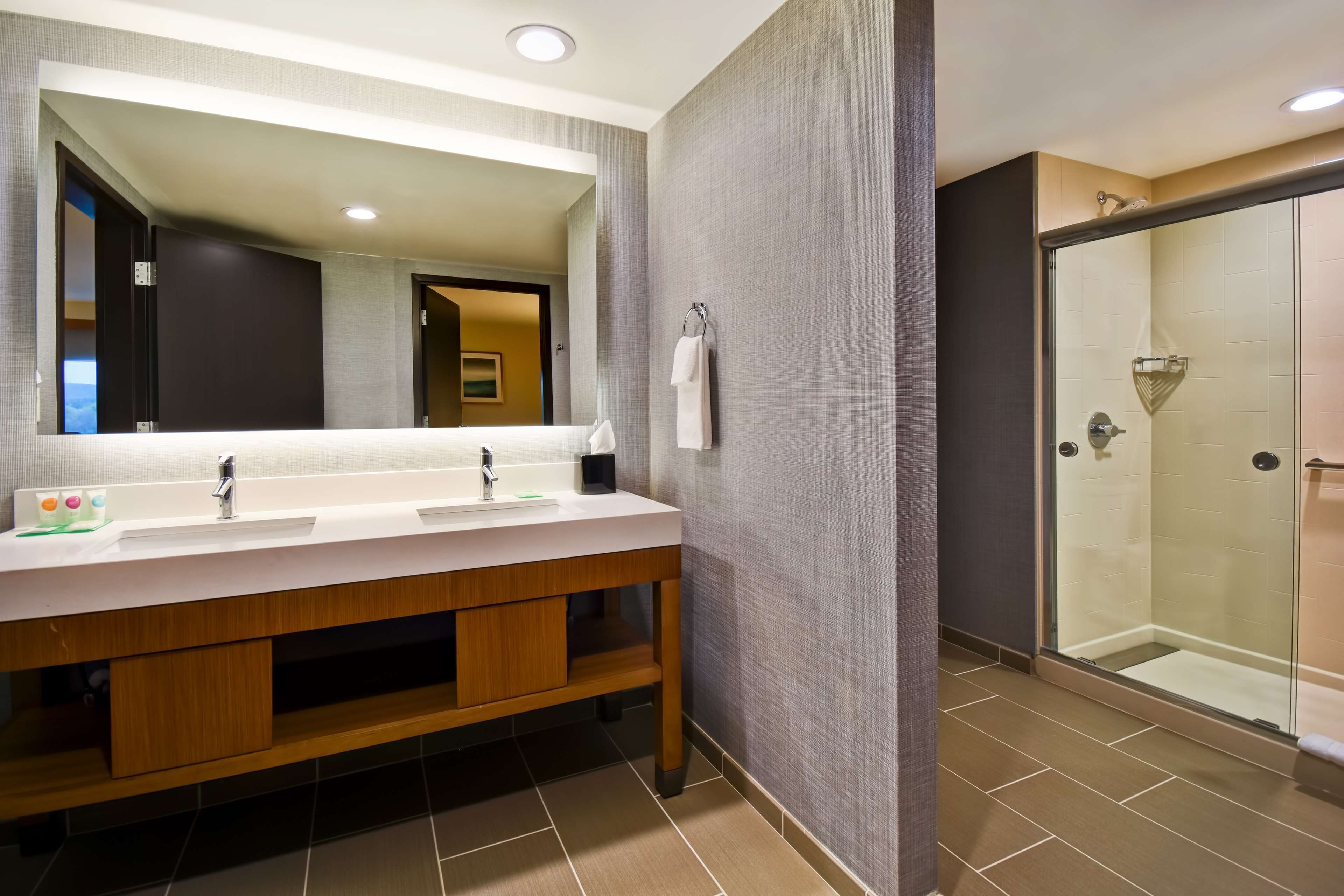 A modern bathroom with a dual sink vanity, a large mirror, and a glass-enclosed shower area.