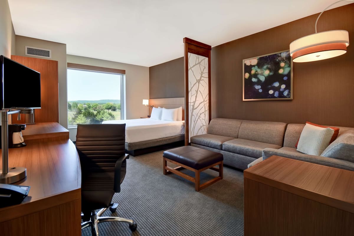 A hotel room with a bed, a sofa, a desk, a chair, and a television.