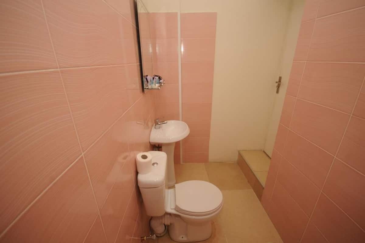 Economy Twin Room | Bathroom | Shower, free toiletries, hair dryer, slippers
