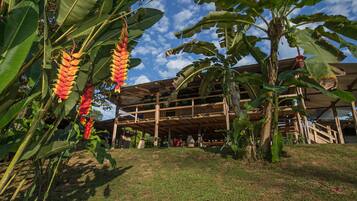Escape to a tranquil tropical haven with a traditional wooden structure surrounded by lush banana plants and vibrant flowers.