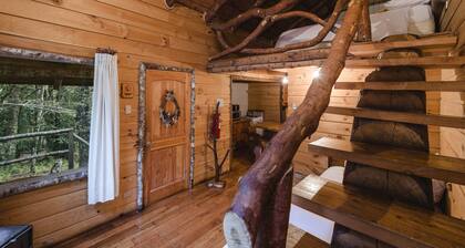 Huilo Huilo Cabanas del Bosque