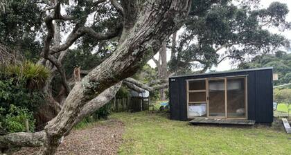 A Kiwi Classic - beautiful bach in Whangateau