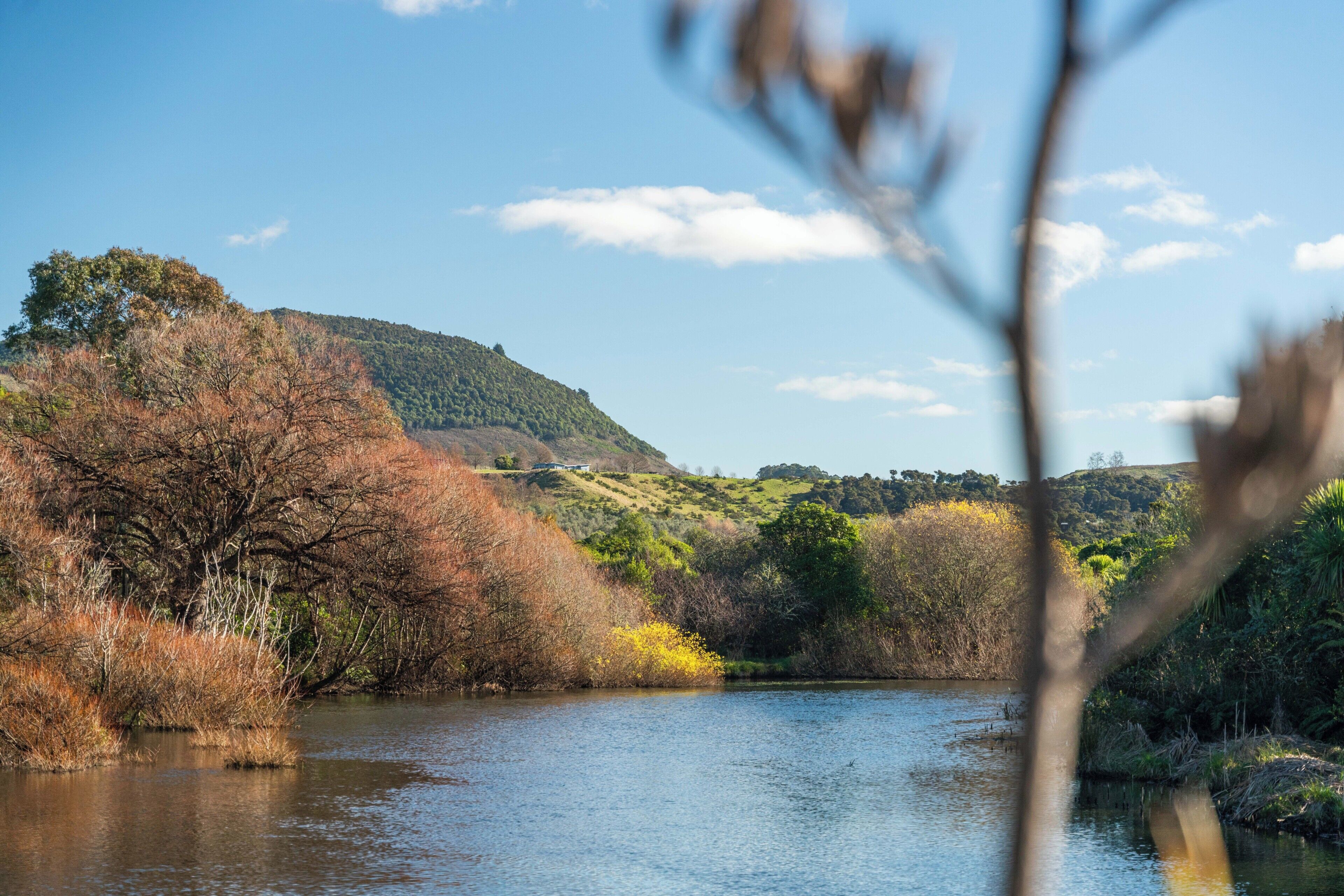 Um rio cercado por árvores e colinas.