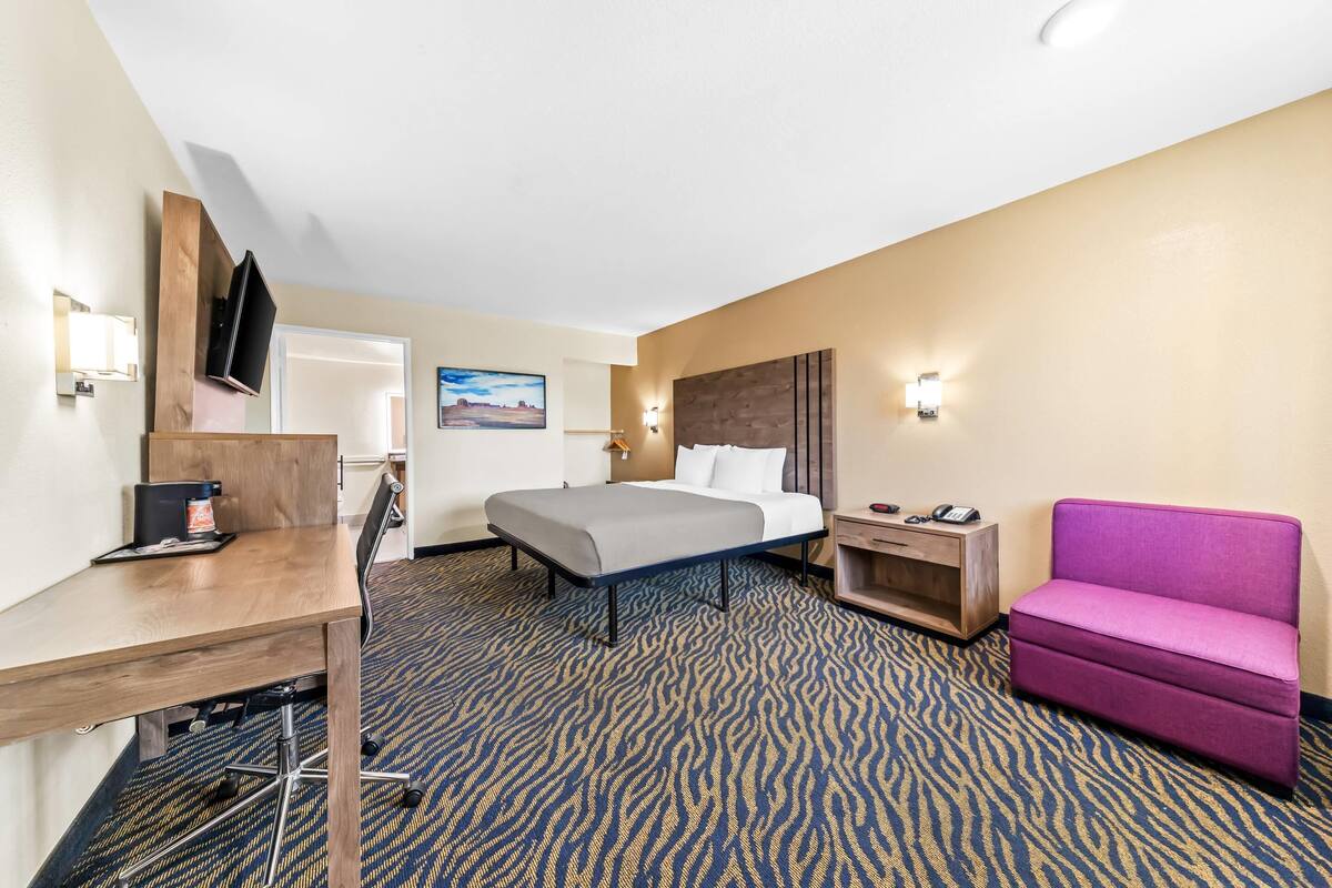 A hotel room with a bed, desk, chair, and a purple sofa.