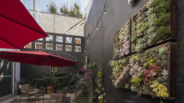 A courtyard with a red umbrella, wicker chairs, and a vertical garden wall. - Casa Hidalgo (Mexico City)