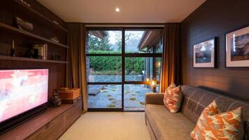 Smart TV, fireplace, Netflix, books