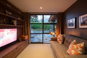 Smart TV, chimenea, Netflix, libros