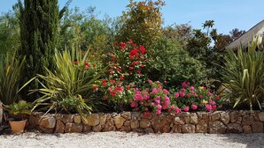 A garden with a stone wall, various plants, and a tall tree. - Large country house with swimming pool, SPA, terrace, garden, WIFI access 5 min from Sanary  (Ollioules)