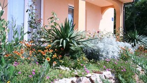 A garden with various plants and flowers in front of a building with a pink facade and windows.