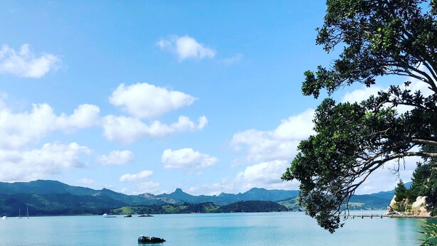 A clear view of a lake with a boat, calm water, and distant mountains. - Private Bay Beachfront - Stunning Location! (Coromandel Township)