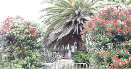 TWIN PALMS - ILMAINEN Pellava, PUHDISTUS, WIFI & Aamupala.