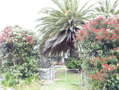 Twin Palms - Free cleaning,wifi and breakfast, linen and goody basket 