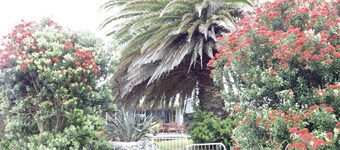 TWIN PALMS - KOSTENLOSE WÄSCHE, REINIGUNG, WIFI & FRÜHSTÜCK.