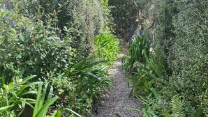 Un sentier de jardin bordé de différentes plantes et arbres.