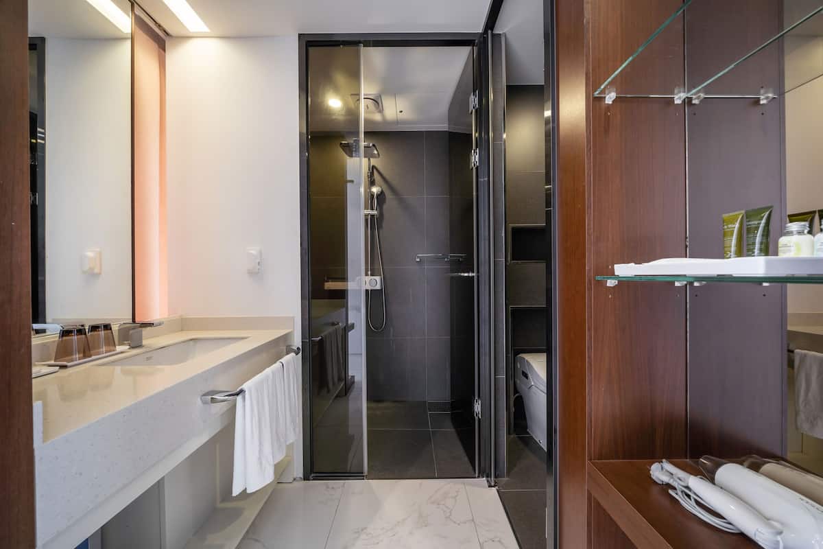 Free toiletries, hair dryer, slippers, bidet