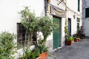 Dettaglio esterni