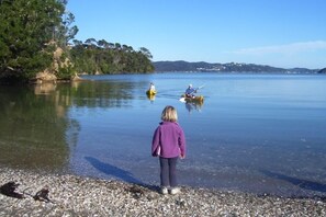 Beach nearby, sun-loungers, beach towels - Fabulous water front apartment (Okiato)