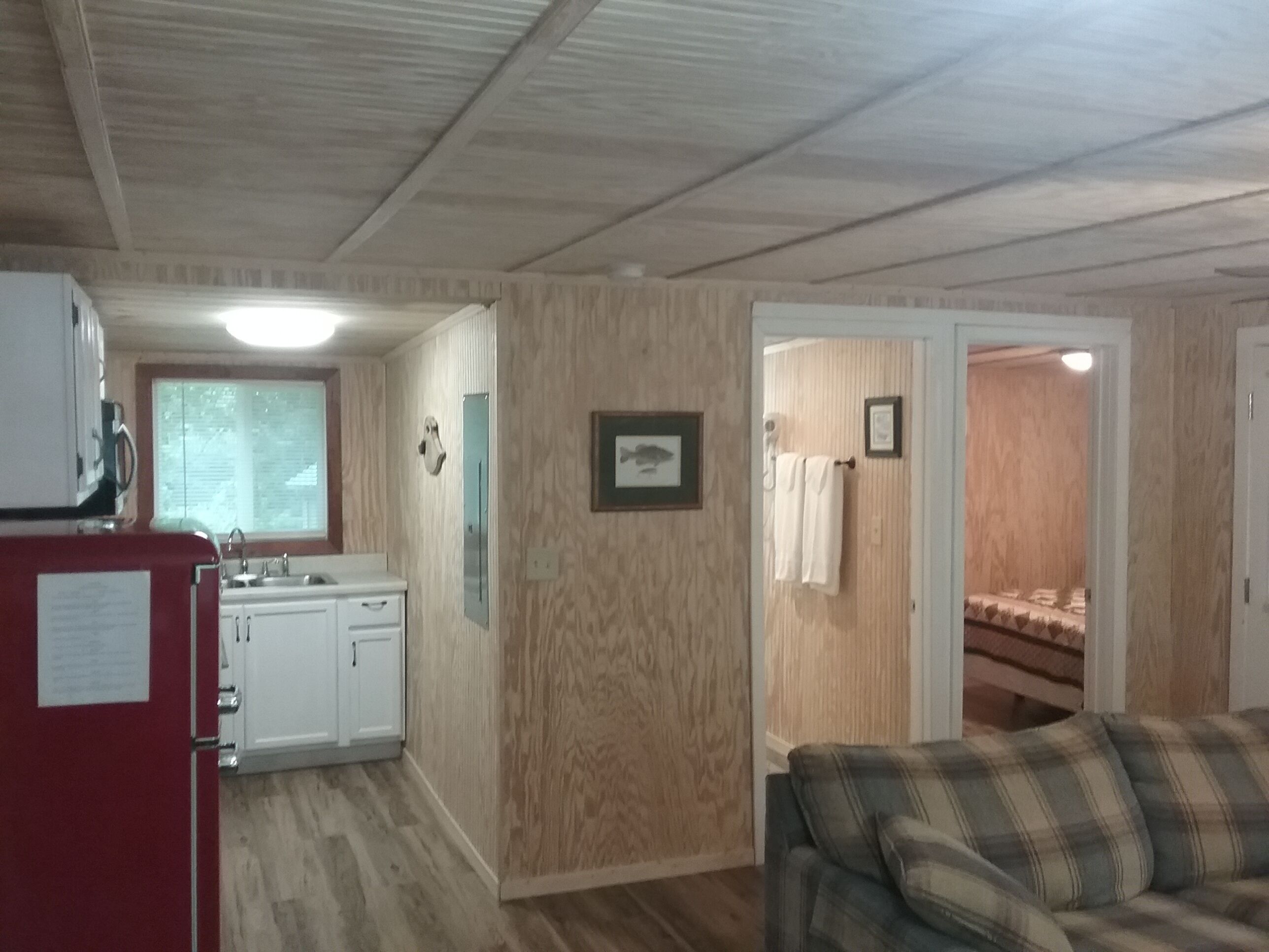 电视、DVD 播放器、影片库