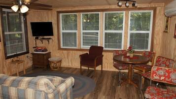 TV, DVD player, video library