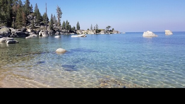A clear coastal view with rocky shores and trees.