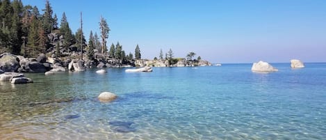 A clear coastal view with rocky shores and trees.