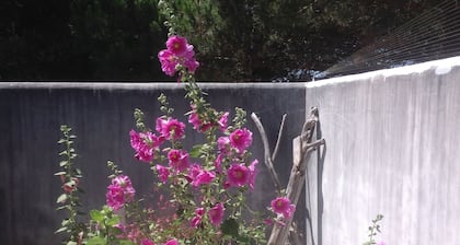 Cómodo y equipado con nueve encantadora casa