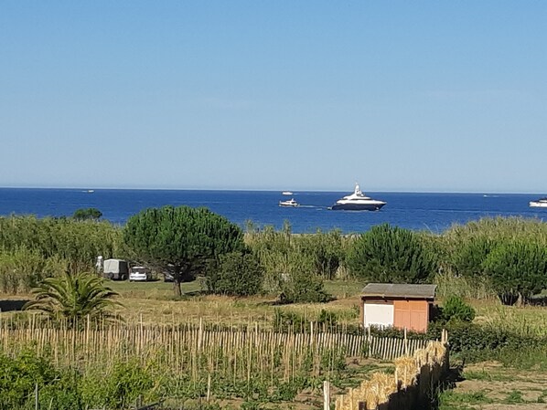 Unclassified image, 1 of 39, button