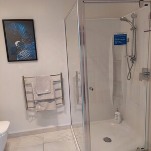 Shower, hair dryer, towels, soap