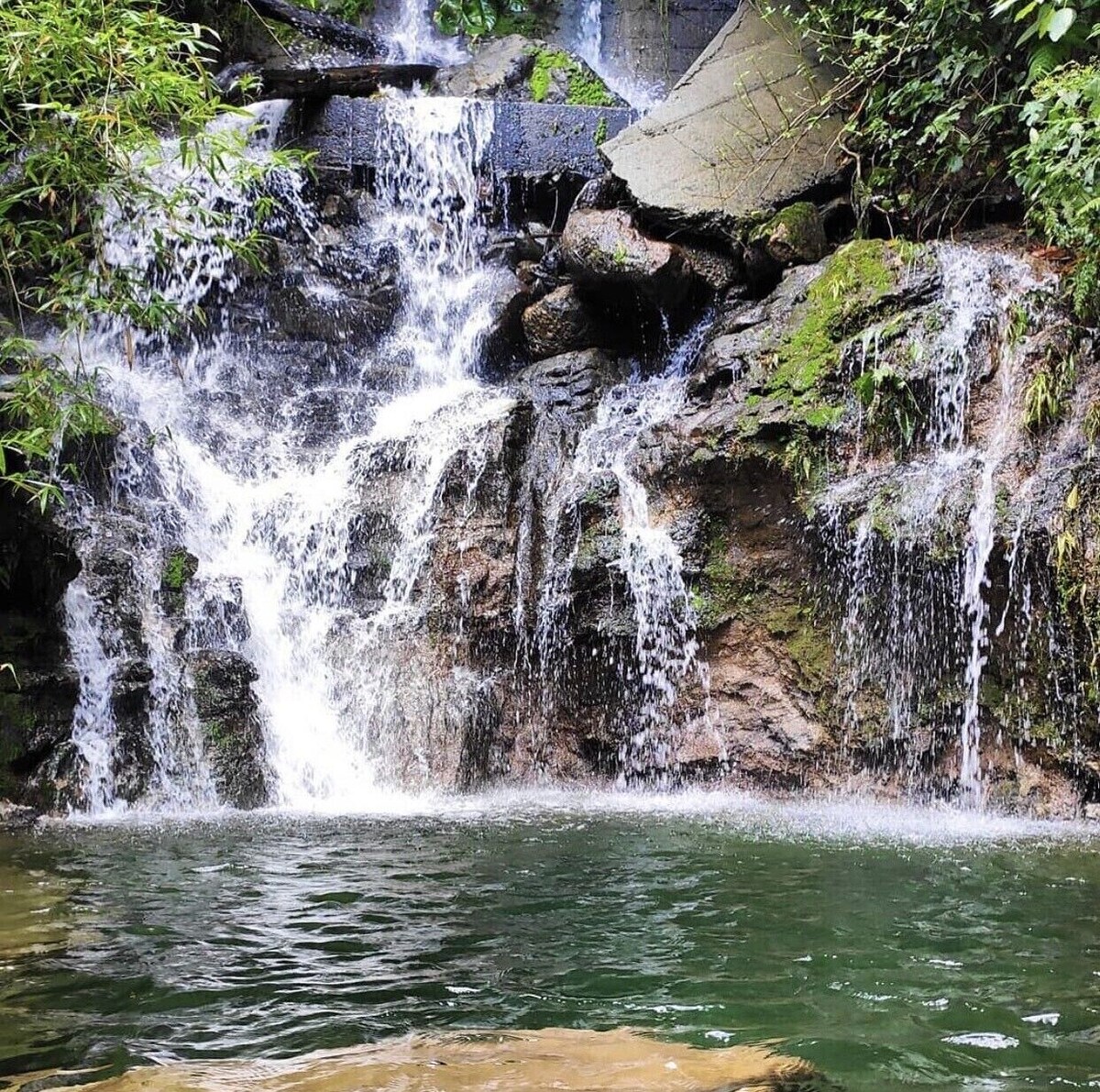 オーナーのプロフィール画像