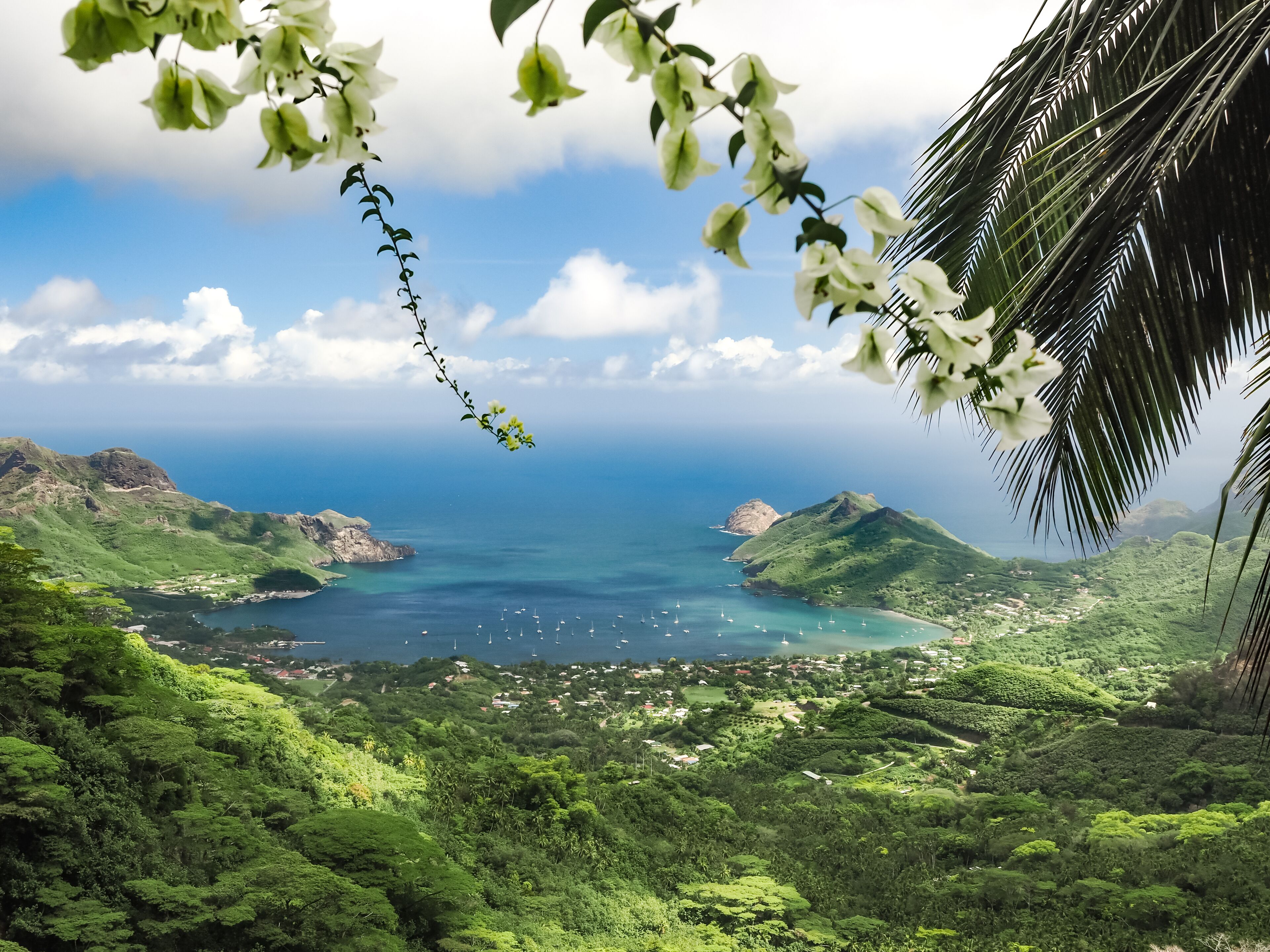 A coastal landscape with lush greenery, a bay with boats, and a clear sky.