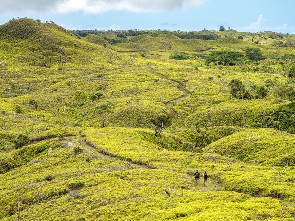 Paisaje montañoso con un sendero y dos excursionistas.