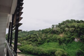 Vista desde la propiedad