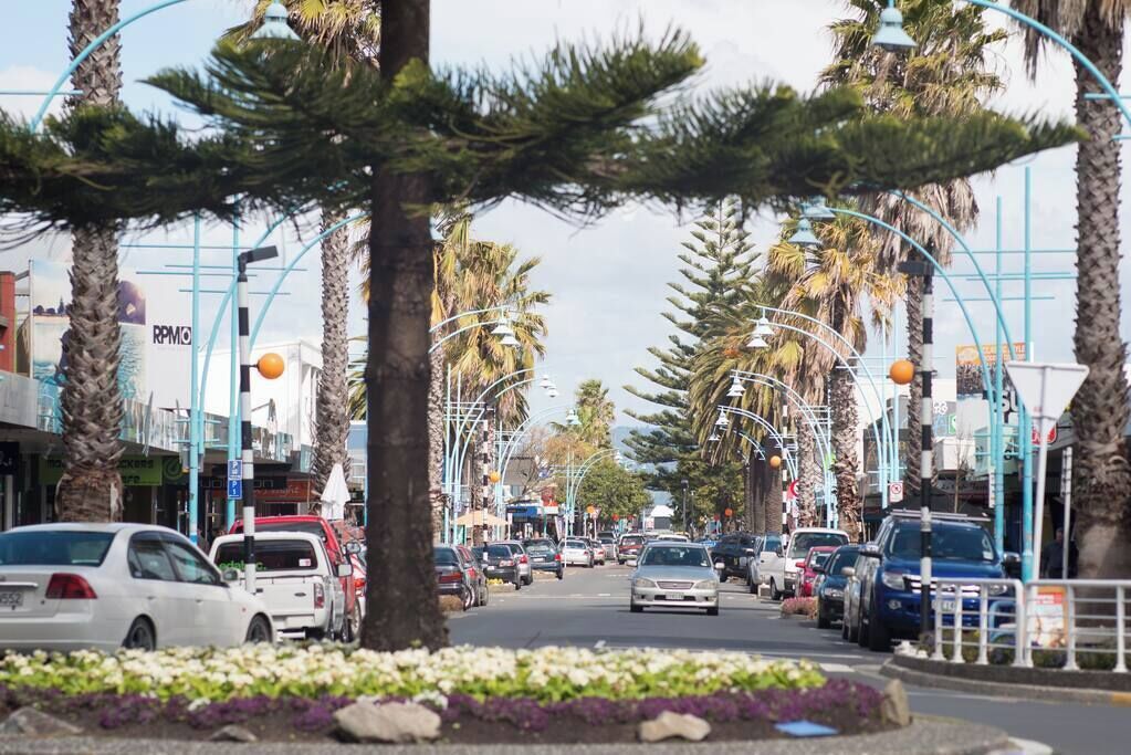 A street lined with palm trees and parked cars.