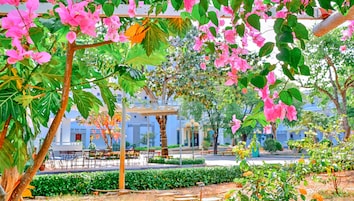 Framhlið gististaðar