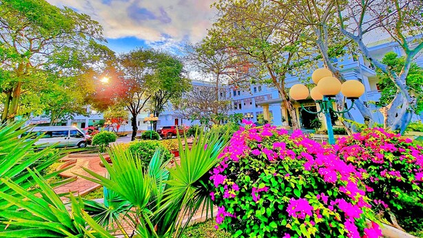 A garden with vibrant pink flowers and green foliage, surrounded by buildings with blue facades and traditional architecture. - Bo Xay Dung Vung Tau (Ho Chi Minh City)