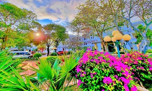 A garden with vibrant pink flowers and green foliage, surrounded by buildings with blue facades and traditional architecture. - Bo Xay Dung Vung Tau (Ho Chi Minh City)