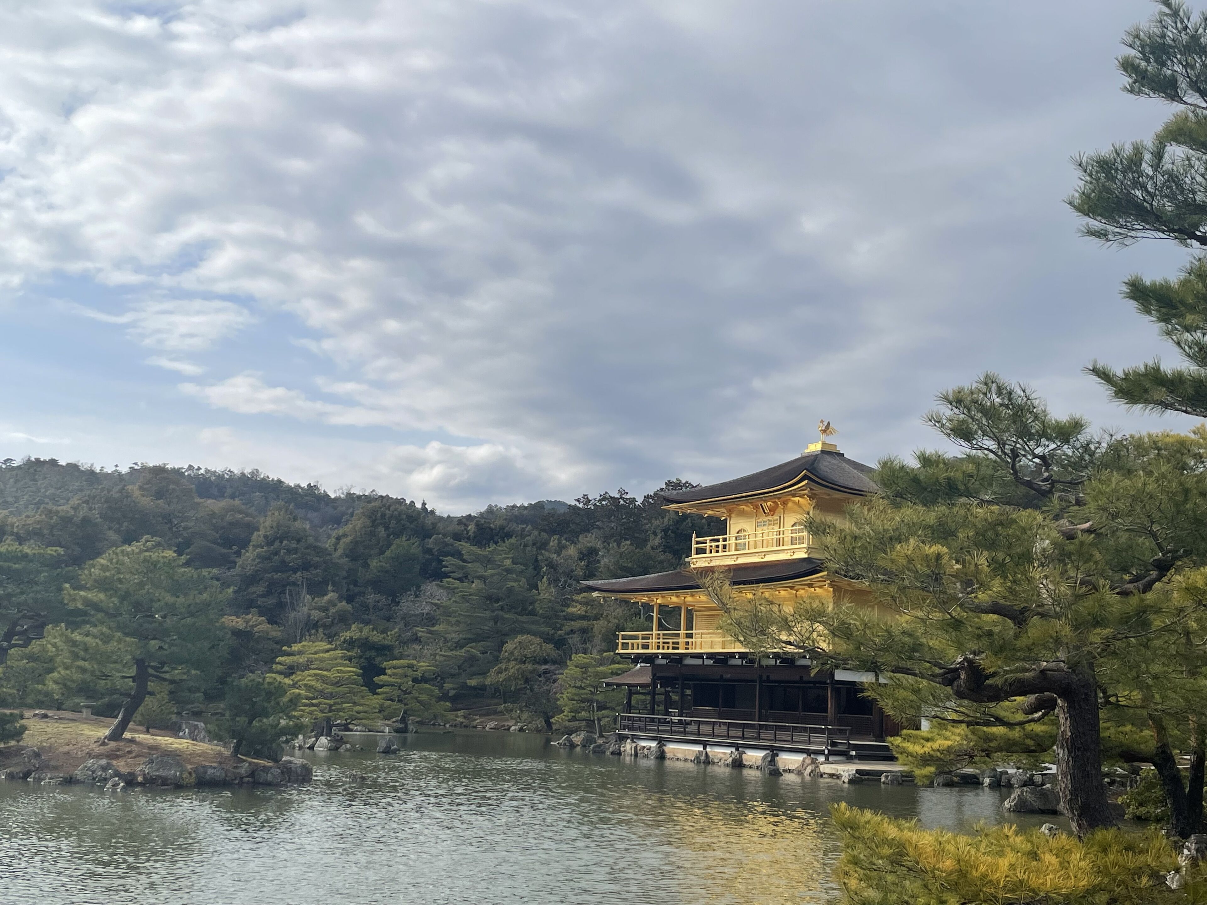 A traditional Japanese building with a prominent golden roof, situated by a calm lake surrounded by lush greenery and pine trees.