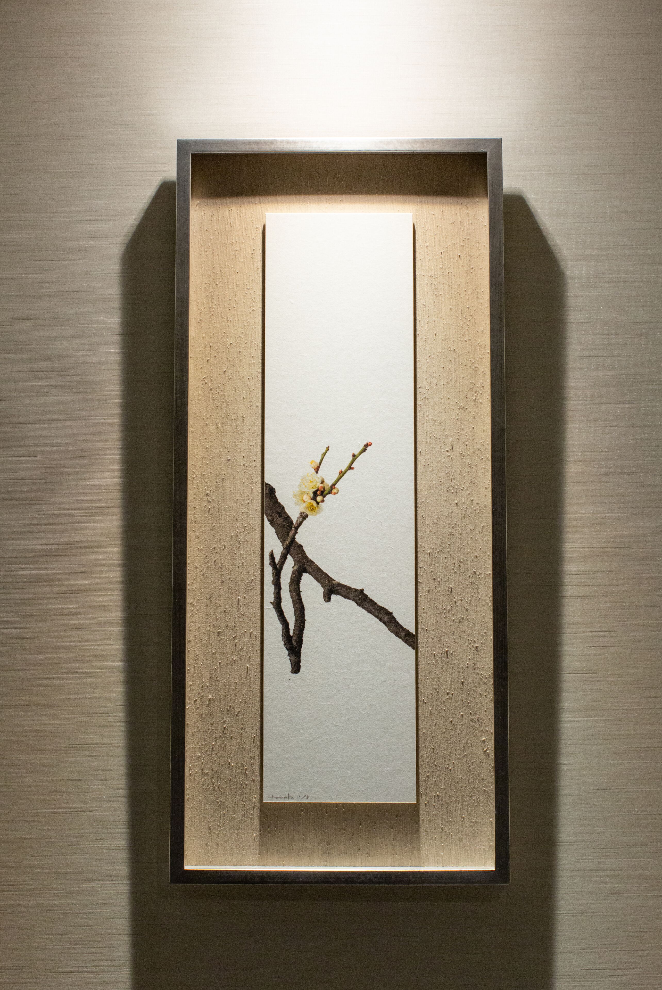 Una obra de arte enmarco que muestra una rama con flores sobre una pared con textura.