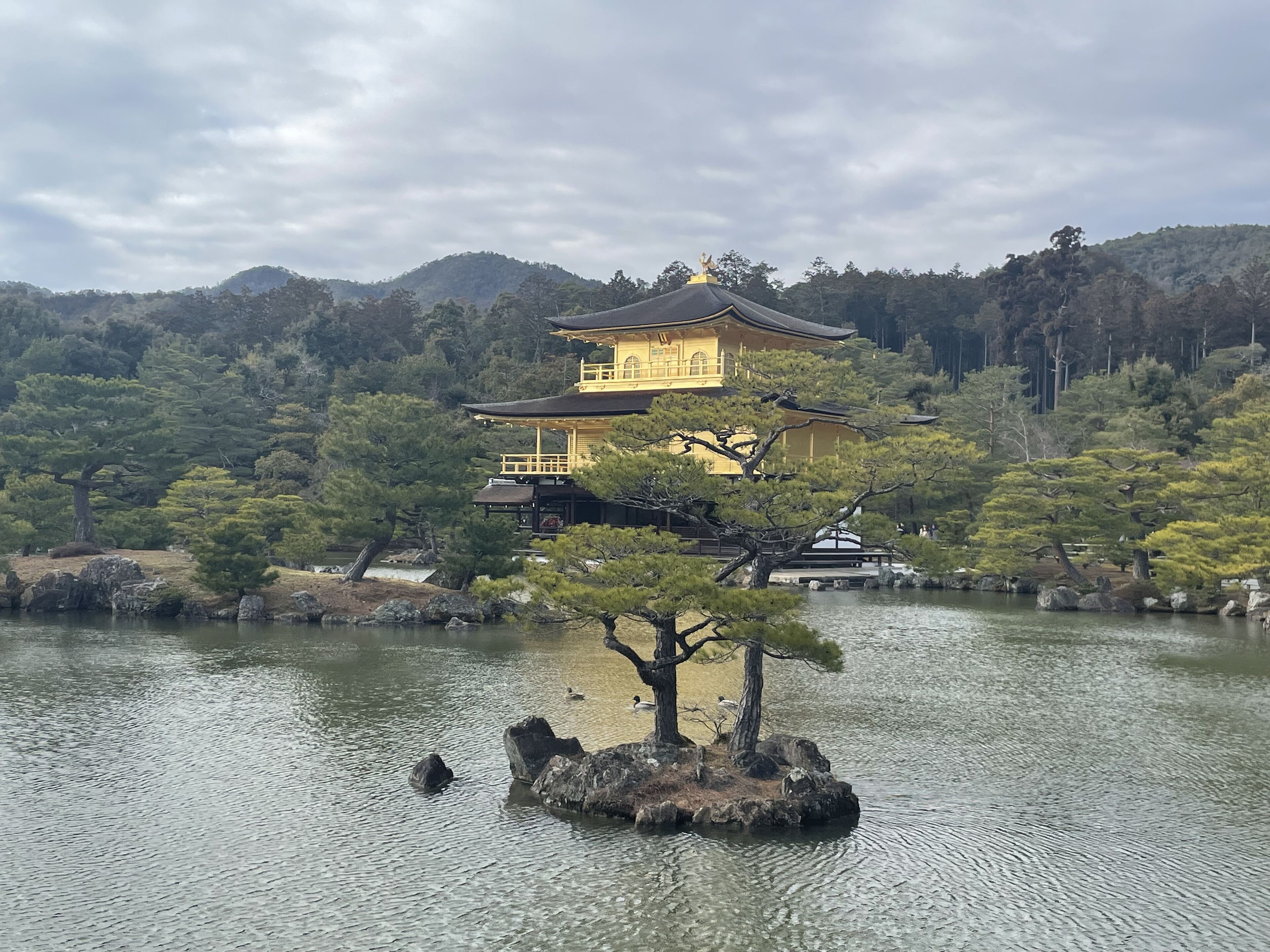 land view from property