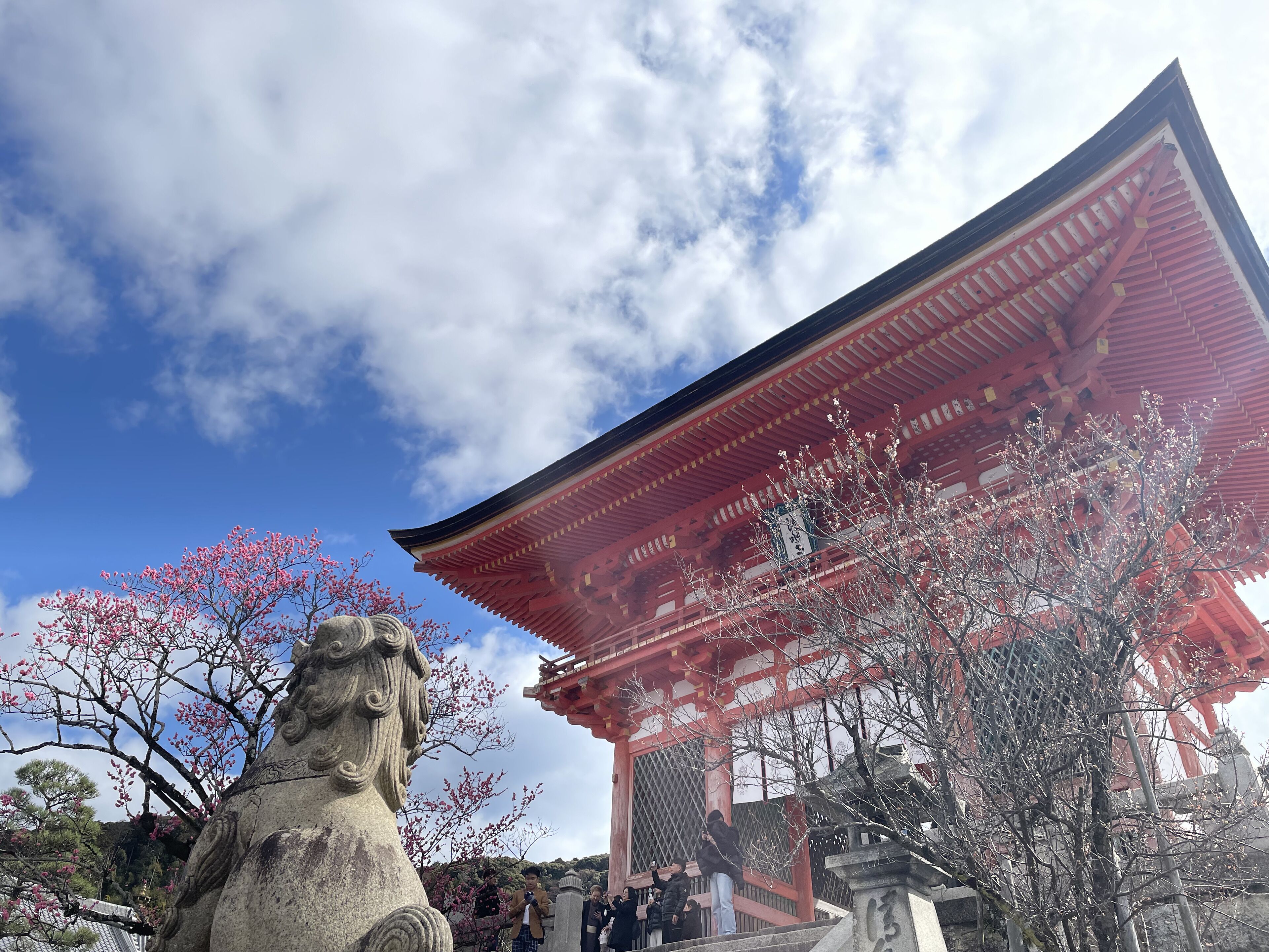 land view from property