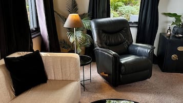 Televisor intel·ligent, llar de foc, llibres i estèreo