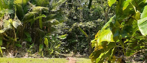 Jardin