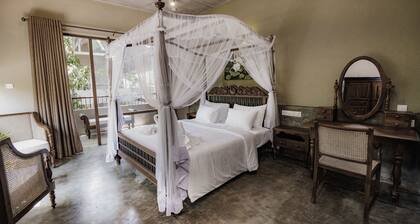 Ayur Ayur Ayurveda Retreat
